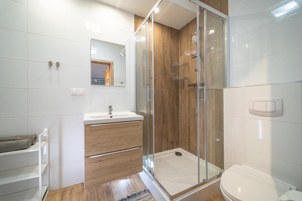Apartament Rodzinny Plusplus Mountain Aparts Swieradow-Zdroj Luaran gambar